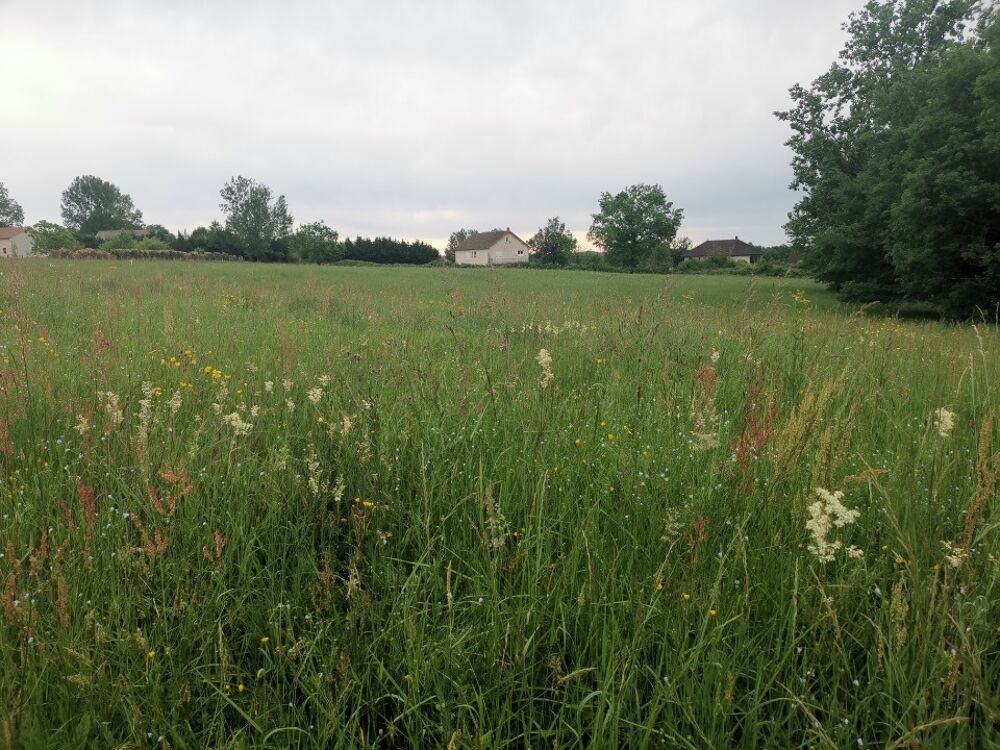 vente Maison - 4 pièce(s) - 119 m² Peyrignac (24210)