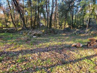  Terrain � vendre 1000 m�