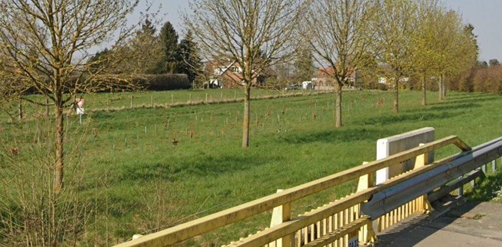Montigny-en-Ostrevent : maison F5 (100 m²) à vendre. Ren....