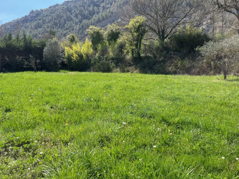 vente Terrain - 1231 m² Condorcet (26110)