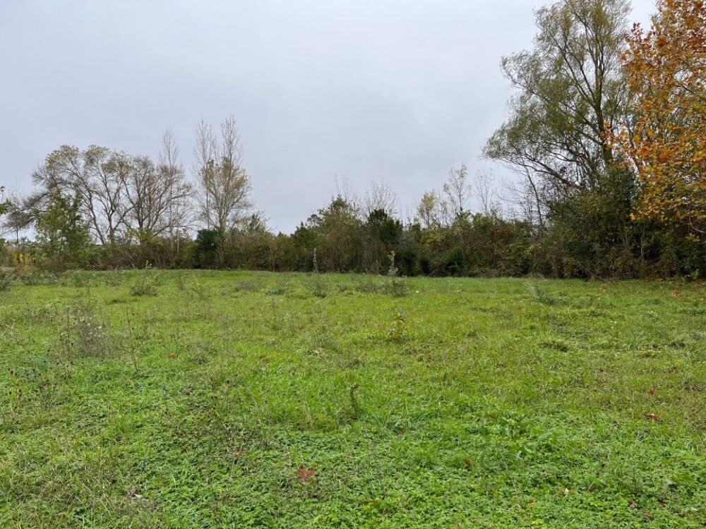vente Terrain - 2098 m² Castelnaudary (11400)