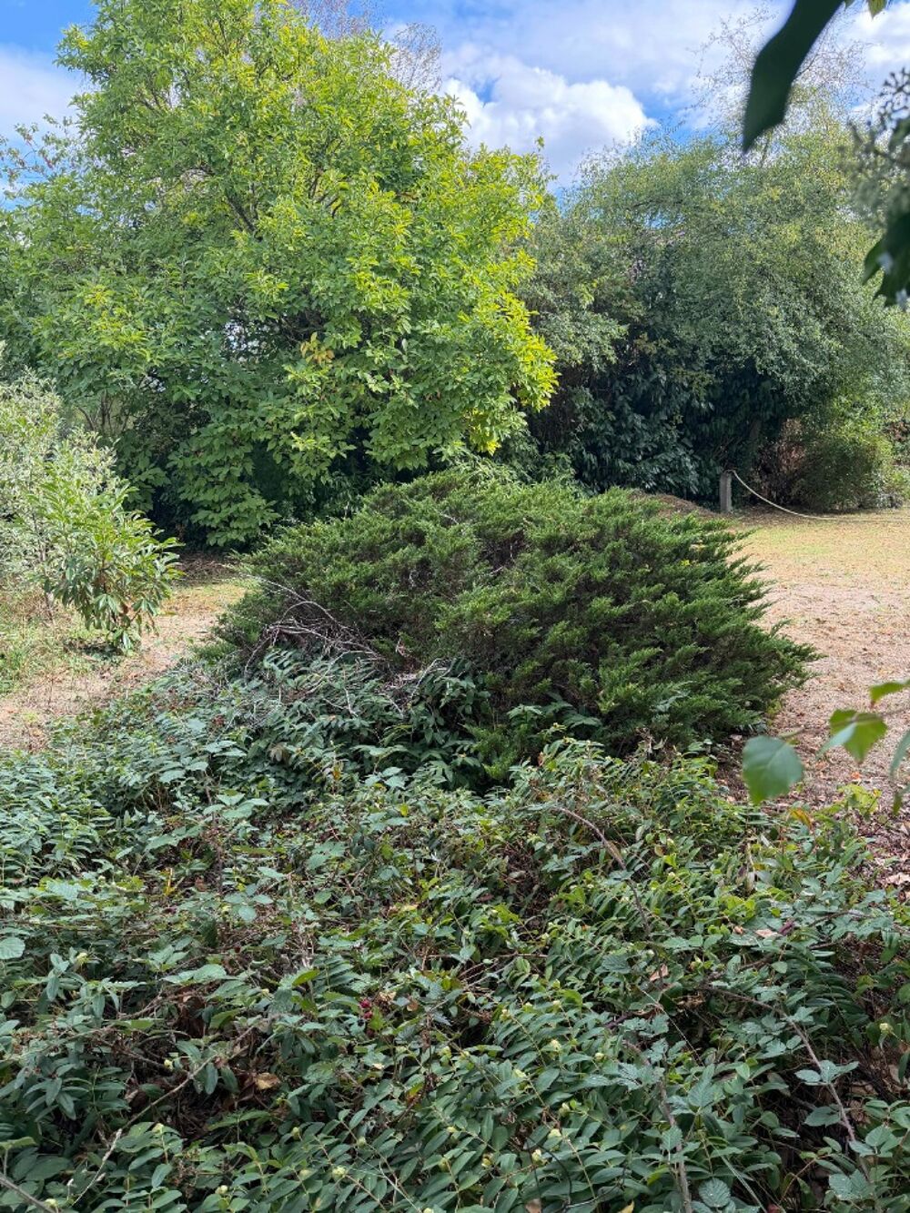 vente Terrain - 272 m² Ollainville (91340)