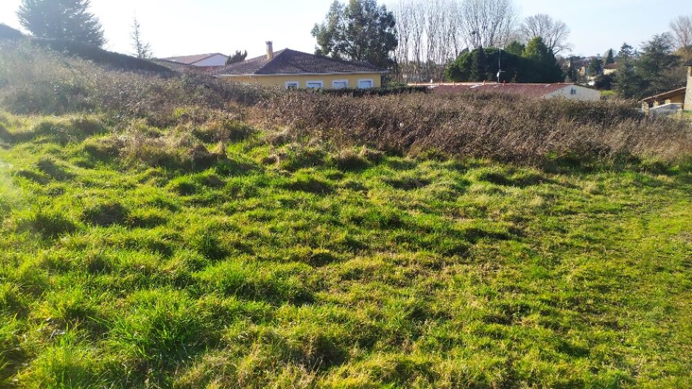 vente Terrain - 730 m² Langon (33210)