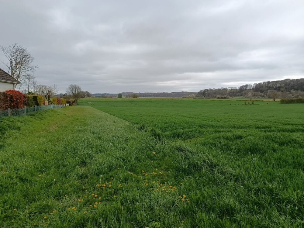 vente Terrain - 1000 m² Sainte-Geneviève (76440)