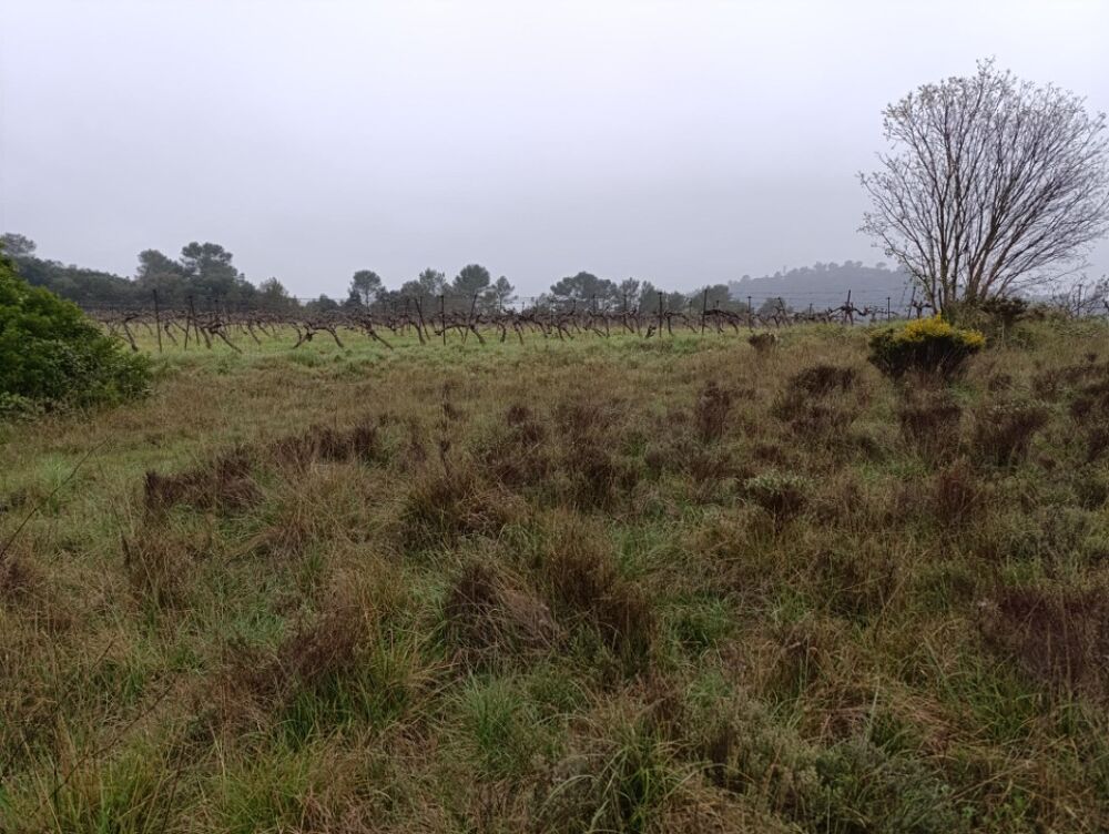 vente Terrain - 580 m² Valflaunès (34270)