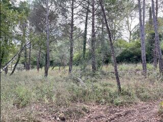  Terrain � vendre 2256 m�