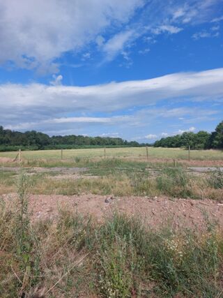  Terrain 310 m� Bennwihr