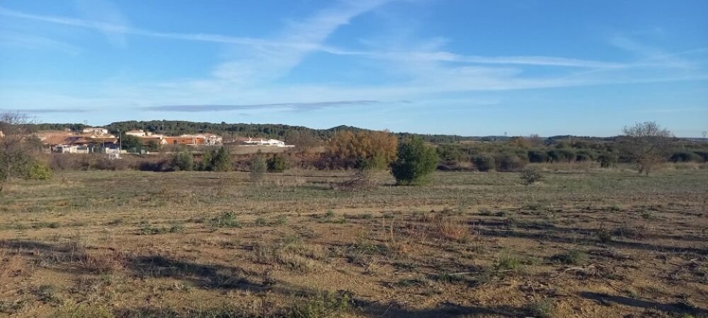 vente Terrain - 993 m² Lézignan-Corbières (11200)