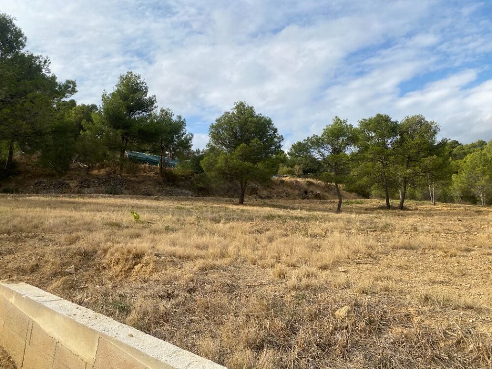 vente Maison - 5 pièce(s) - 112 m² Bize-Minervois (11120)