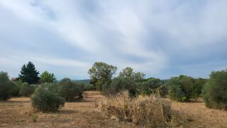  Maison � vendre 3 pi�ces 80 m�