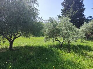  Terrain � vendre 490 m�