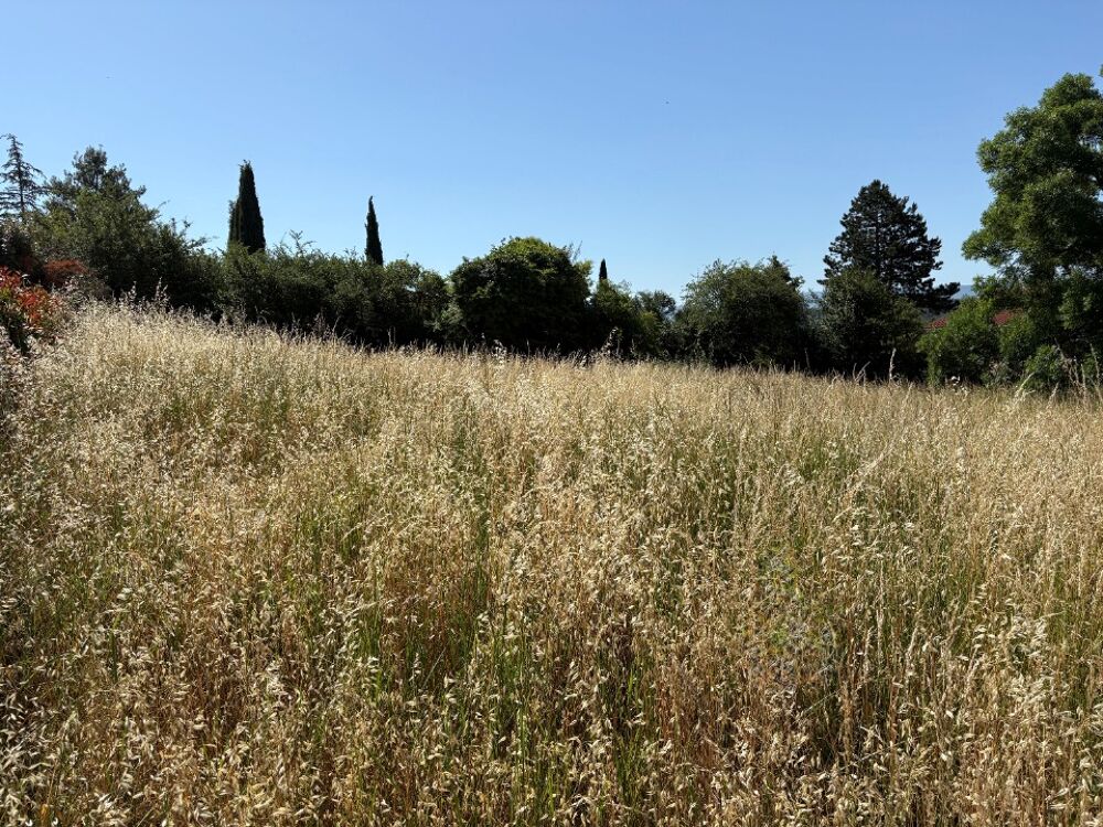 Le modèle Parfum du Sud vous offrira un grand confort de....