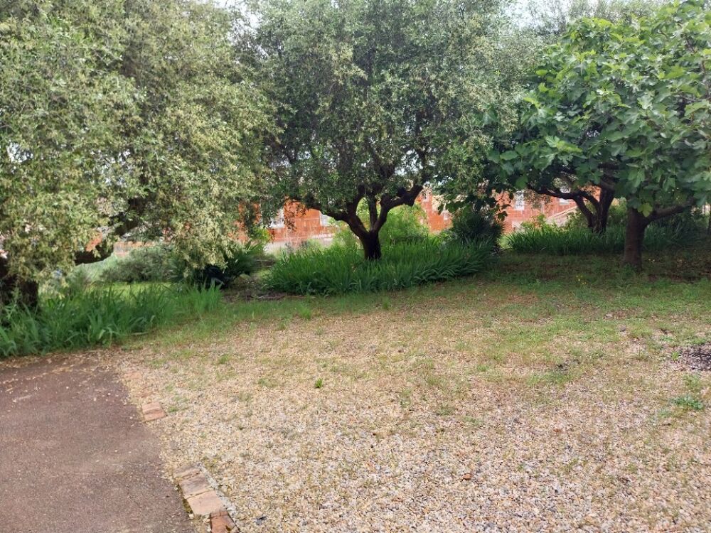 vente Terrain - 443 m² Roquebrune-sur-Argens (83520)