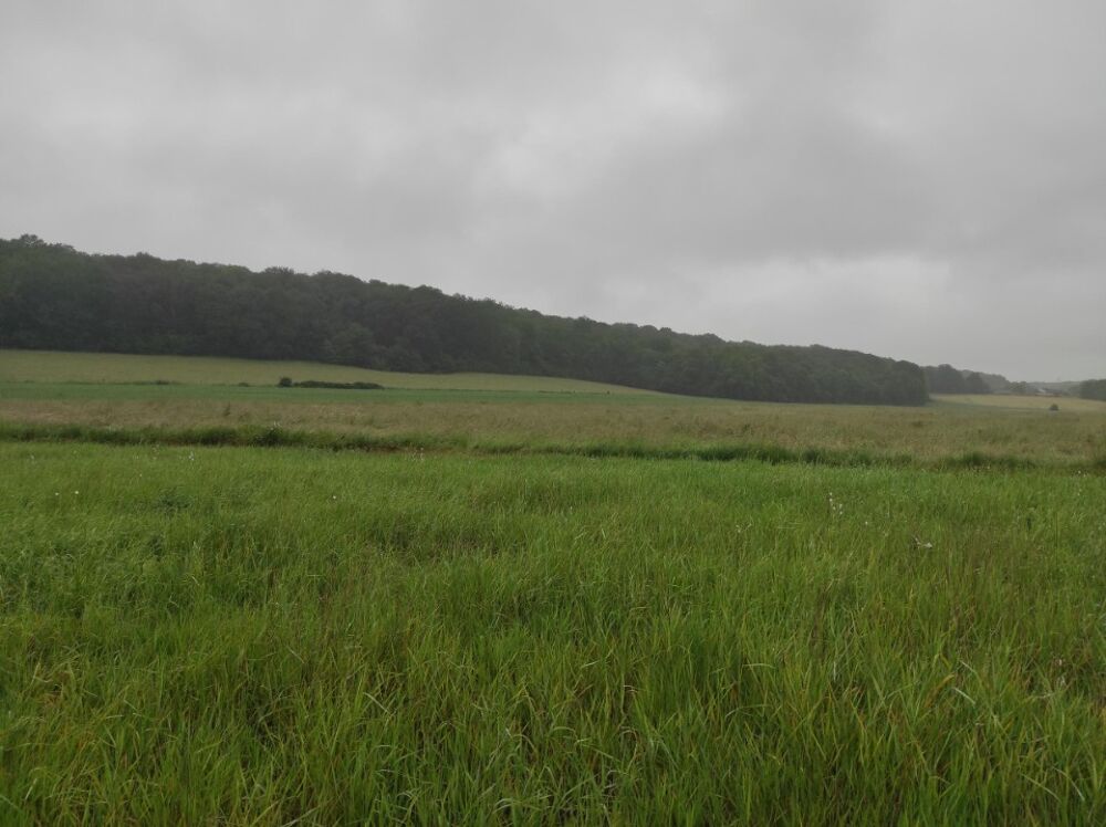 vente Terrain - 734 m² Radepont (27380)