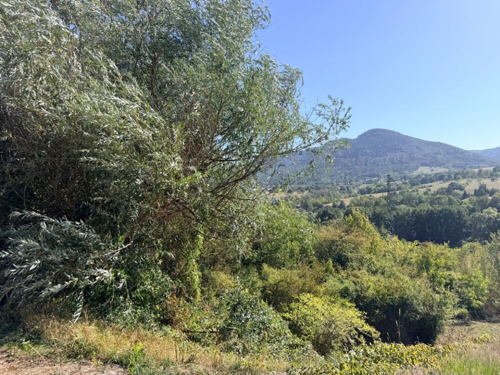 vente Maison - 5 pièce(s) - 160 m² Villé (67220)