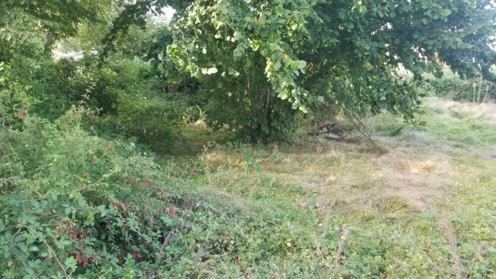 vente Terrain - 660 m² Le Pout (33670)