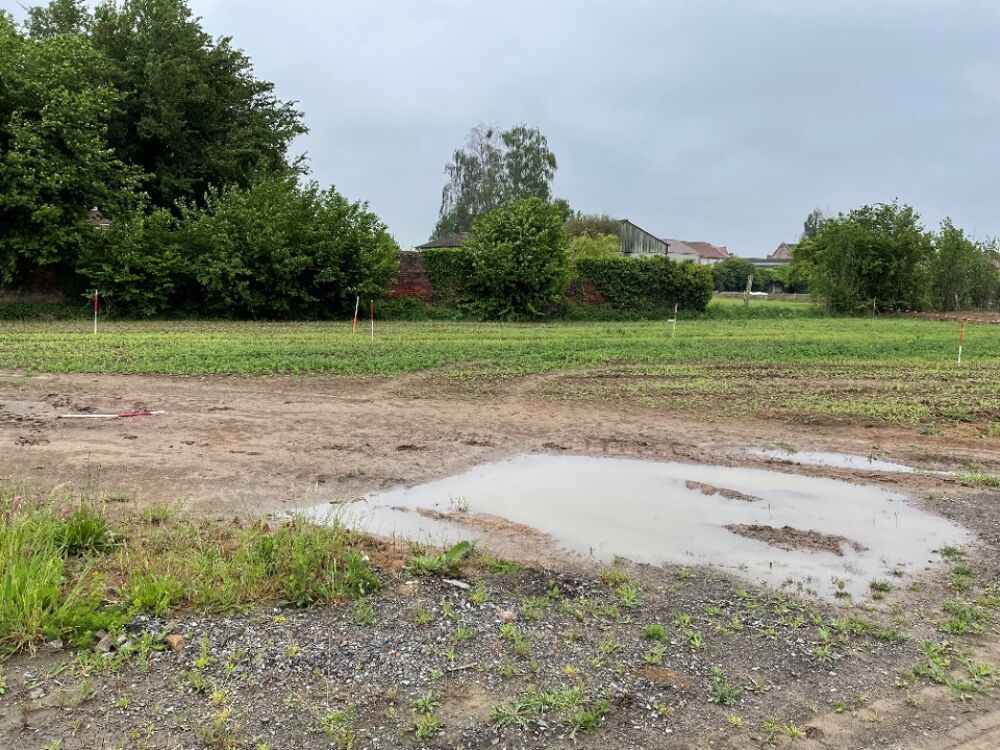 vente Terrain - 469 m² Auberchicourt (59165)