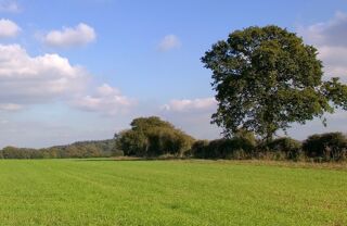  Terrain � vendre 378 m�