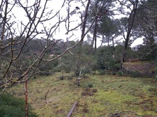  Maison � vendre 3 pi�ces 80 m�