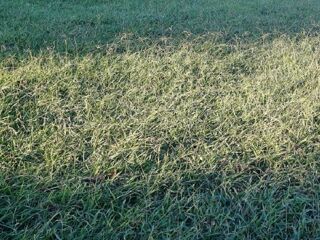  Terrain � vendre 399 m�