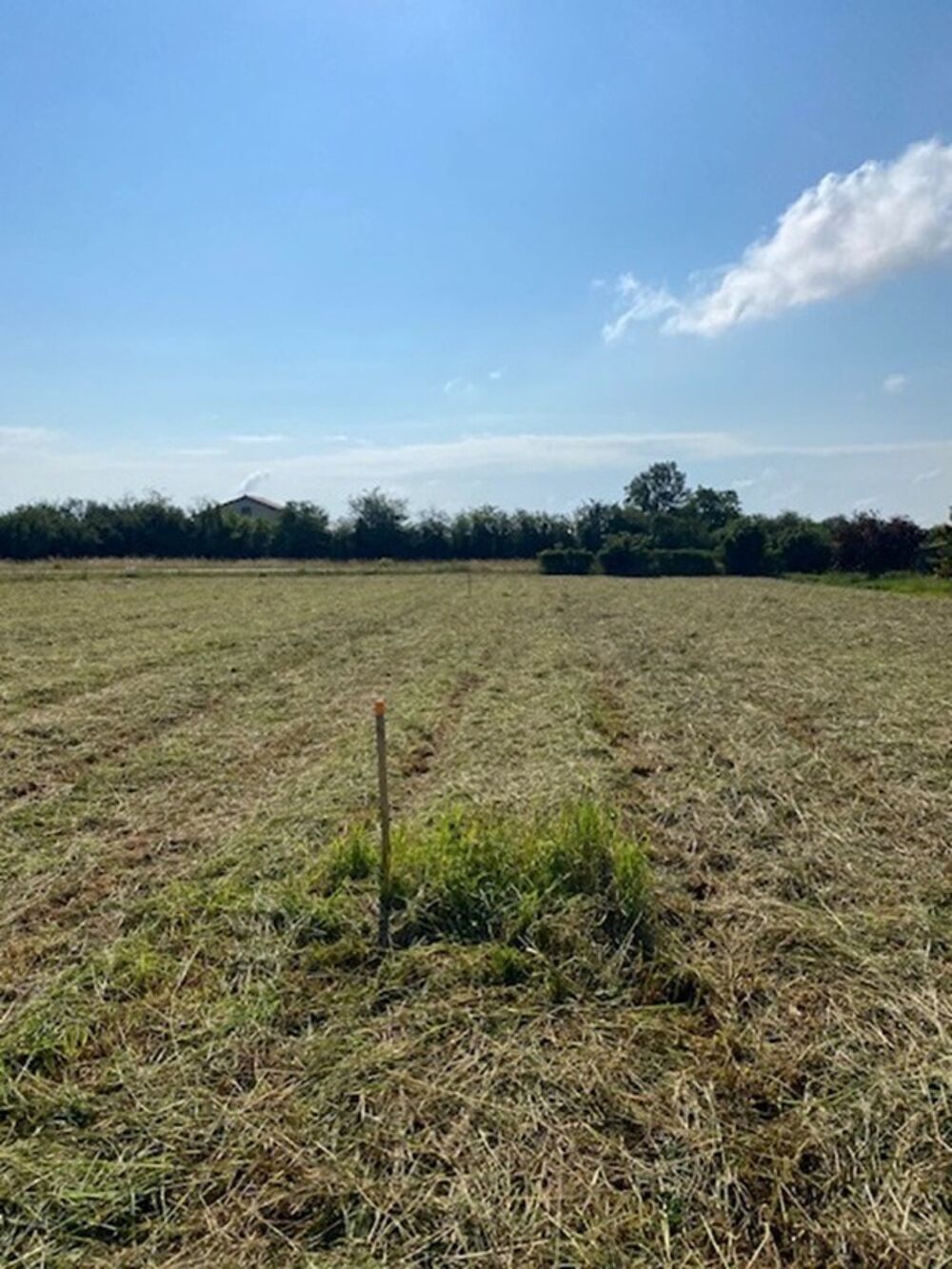 vente Maison - 5 pièce(s) - 80 m² Champdieu (42600)