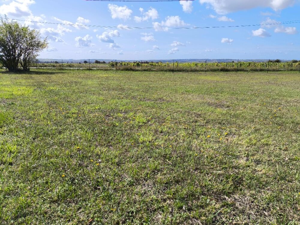 vente Terrain - 800 m² Châteauneuf-sur-Charente (16120)