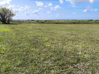 Terrain à vendre 800 m²