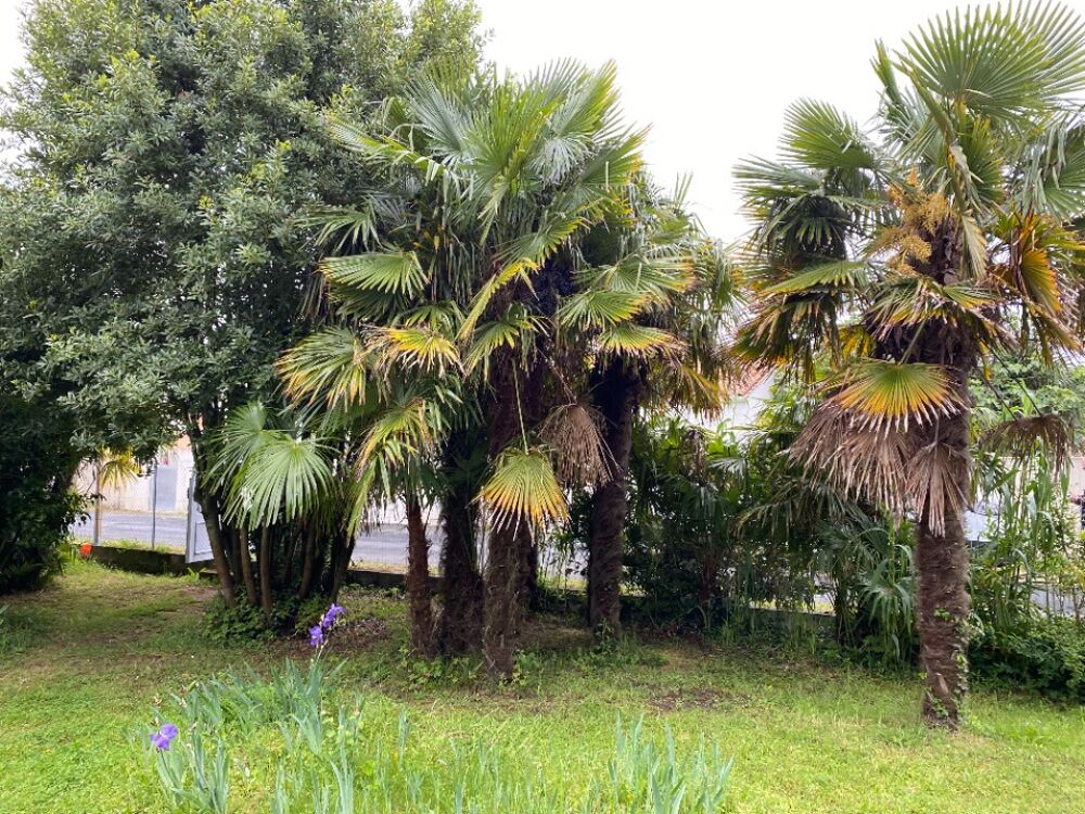 vente Terrain - 400 m² Saint-Jean-d'Angély (17400)