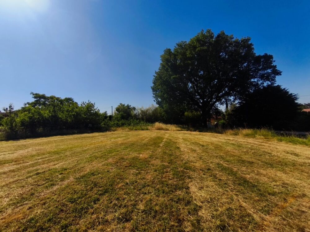 vente Terrain - 774 m² Graulhet (81300)