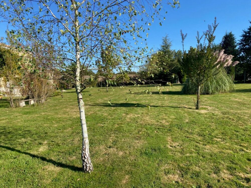 vente Maison - 1 pièce(s) - 85 m² Faleyras (33760)