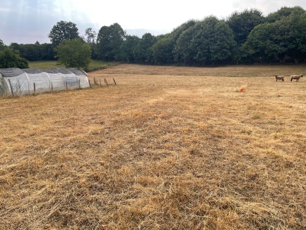 vente Terrain - 1500 m² Glandon (87500)