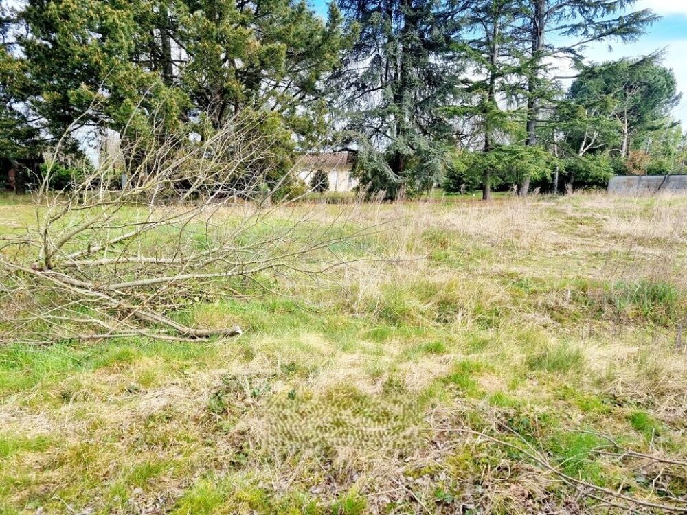 vente Terrain - 905 m² Pézenas (34120)