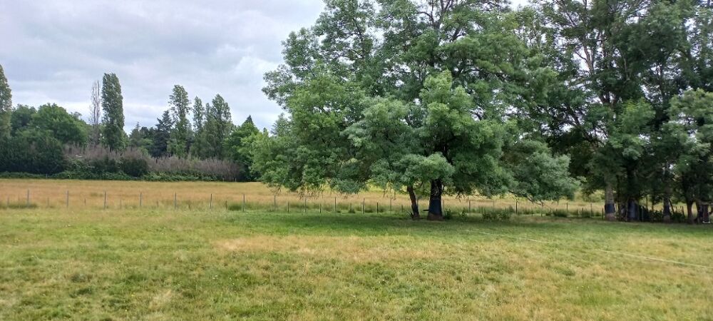 vente Terrain - 1200 m² Ménesplet (24700)