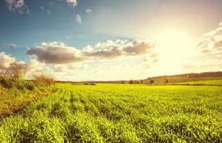  Terrain � vendre 450 m�