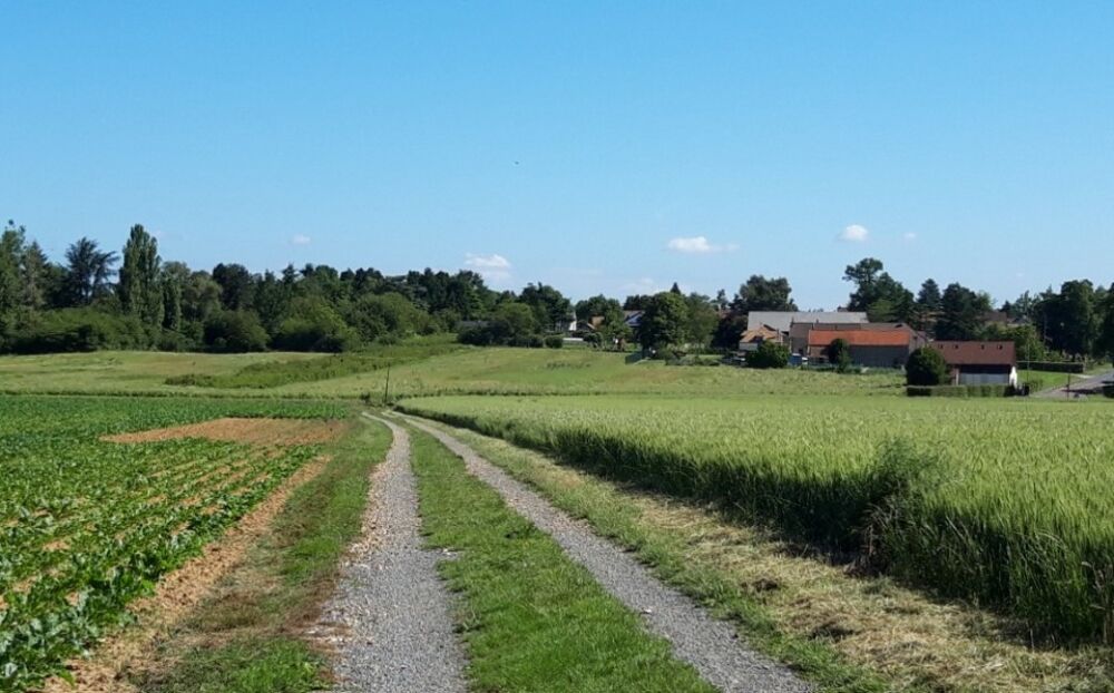 vente Terrain - 359 m² Boullay-les-Troux (91470)