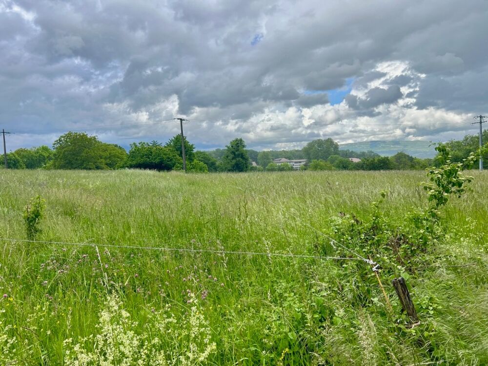 vente Maison - 5 pièce(s) - 100 m² Corbonod (01420)