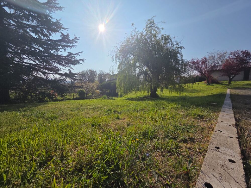 vente Terrain - 841 m² Dommartin (69380)