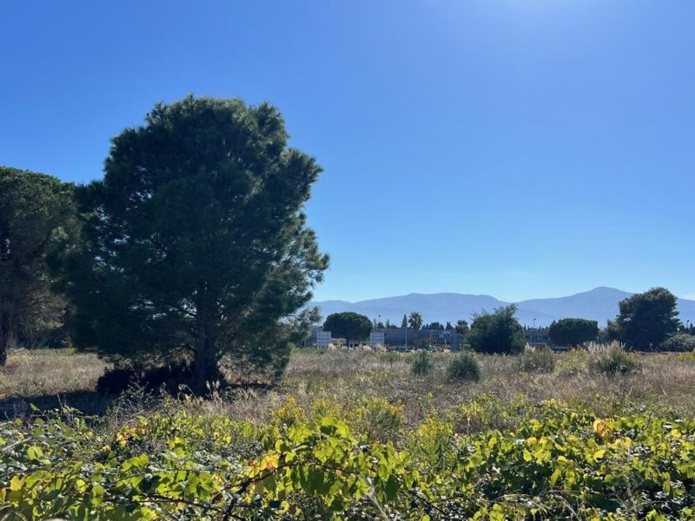 vente Terrain - 323 m² Latour-Bas-Elne (66200)
