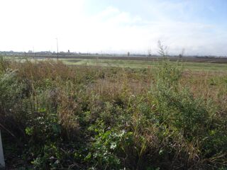  Terrain à vendre 450 m²