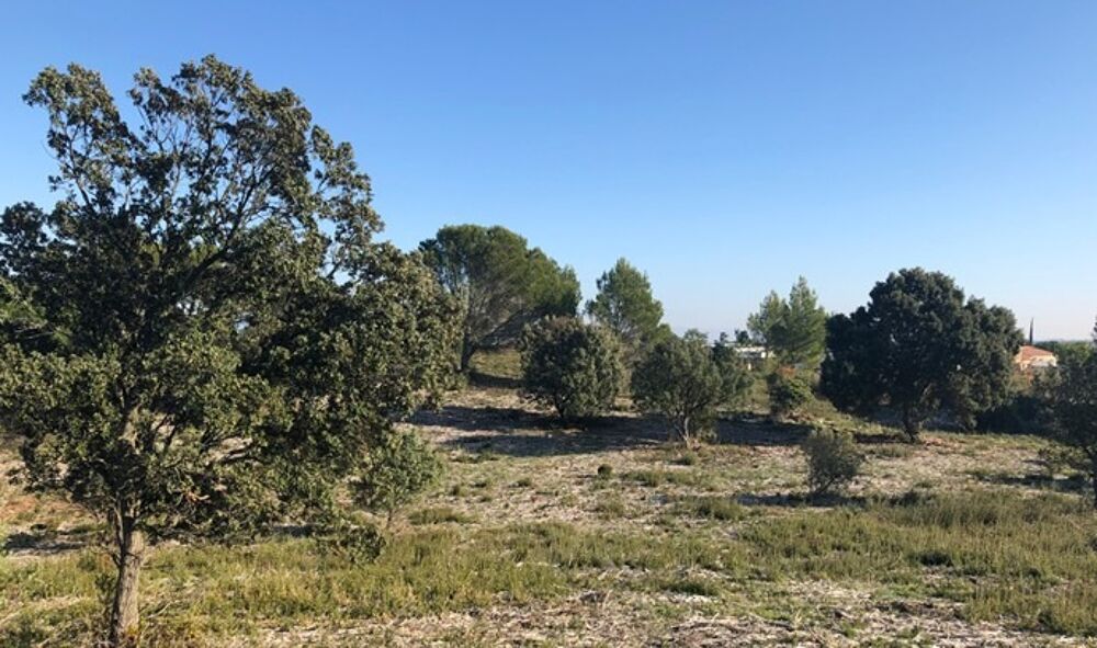 vente Terrain - 499 m² Lirac (30126)