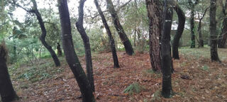  Terrain � vendre 555 m�