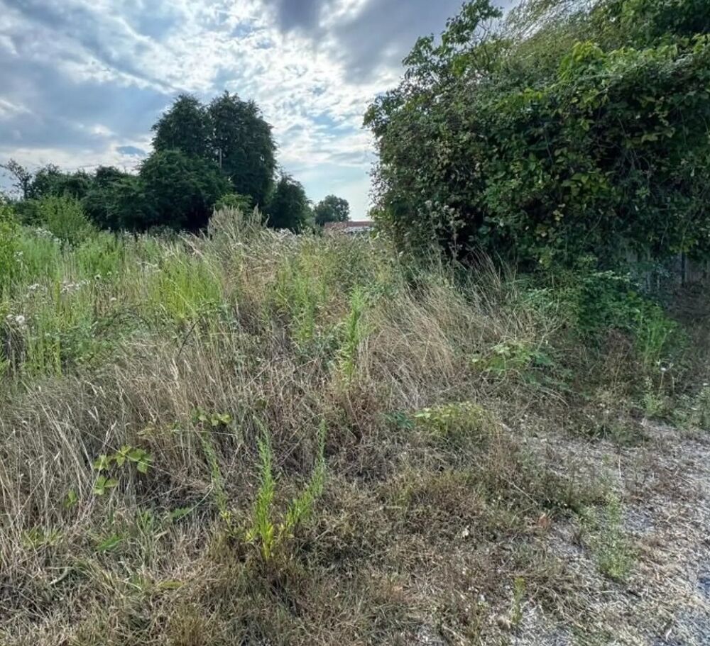 vente Maison - 5 pièce(s) - 80 m² Ligescourt (80150)