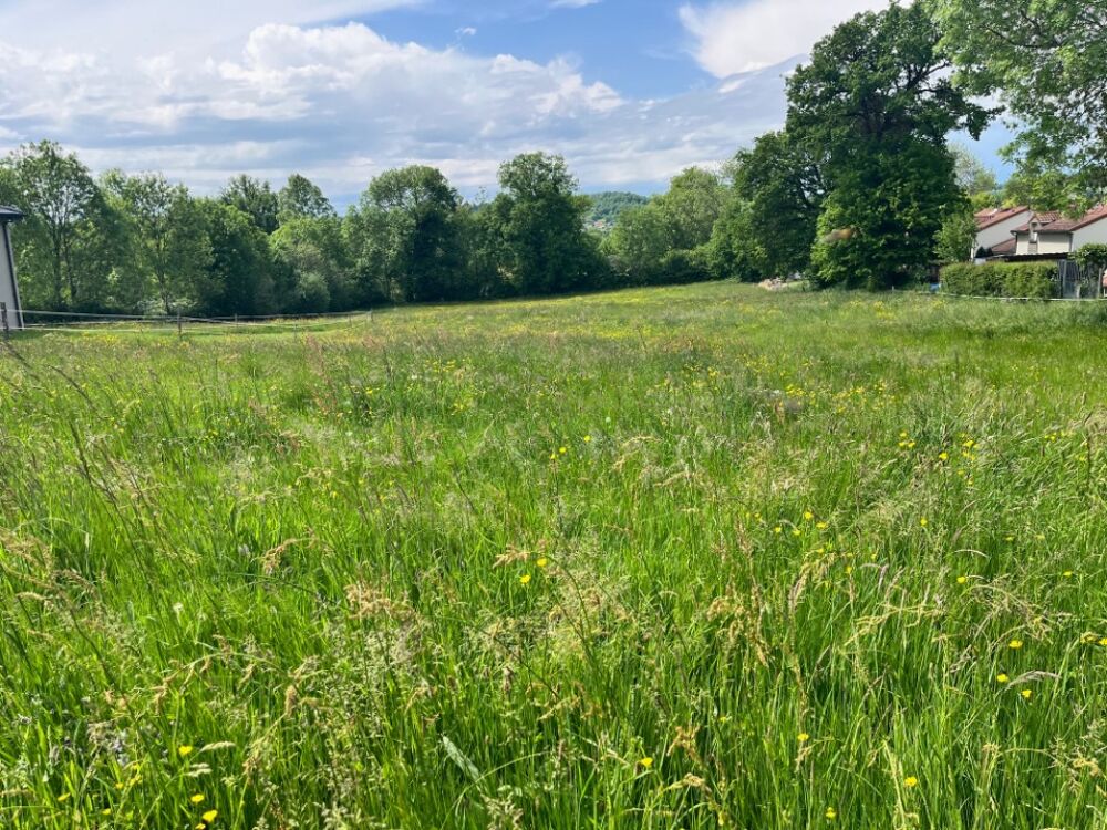 vente Terrain - 1600 m² Jussac (15250)