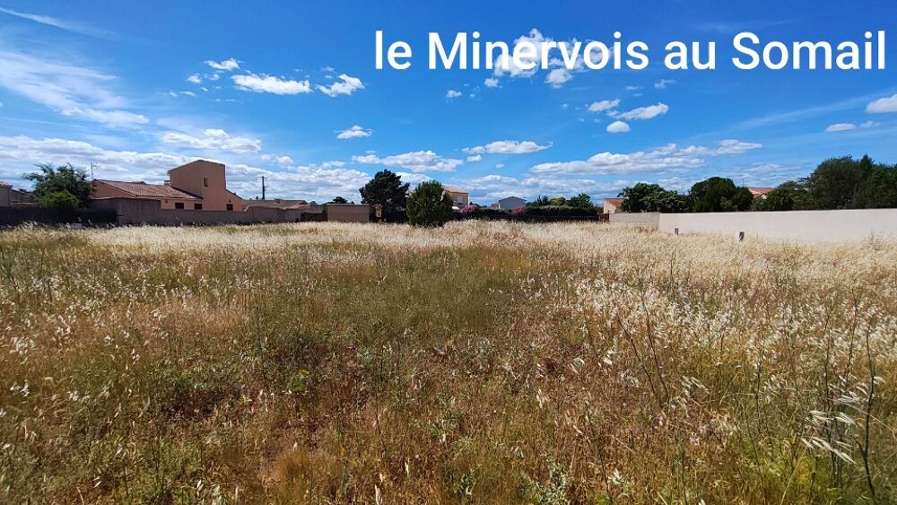 vente Terrain - 636 m² Saint-Nazaire-d'Aude (11120)