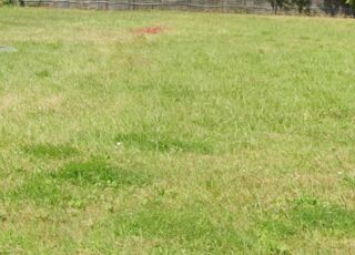  Terrain � vendre 500 m�