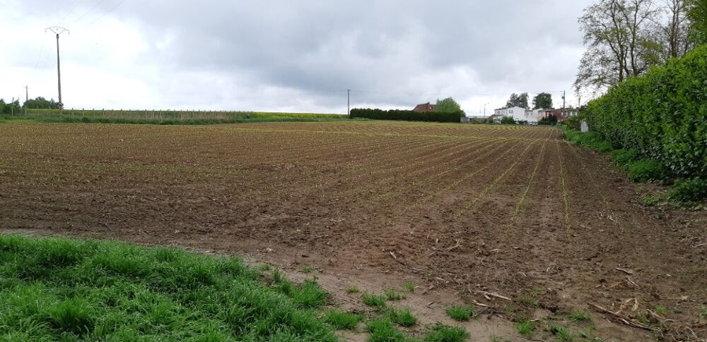 vente Terrain - 510 m² Saint-Hilaire-lez-Cambrai (59292)