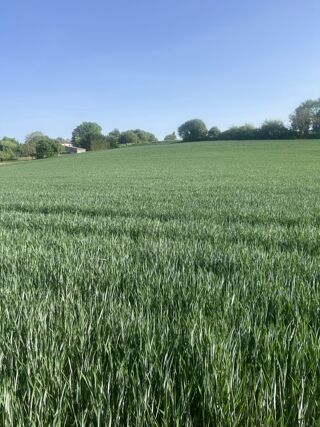  Maison 4 pi�ces 100 m� Castelnau-montratier