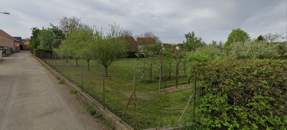 vente Maison - 5 pièce(s) - 110 m² Ringendorf (67350)