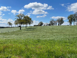 vente Terrain - 1767 m² Marcolès (15220)