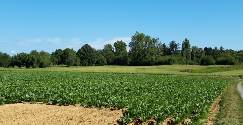 vente Terrain - 425 m² Boullay-les-Troux (91470)